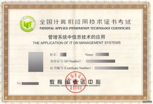 計算機應用技術專業自考學習指南 掌握核心技能，開啟職業發展的新篇章